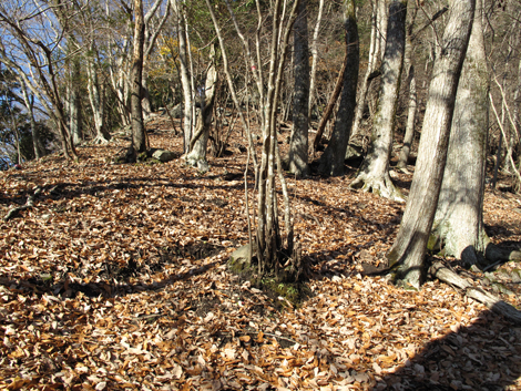 20161216hike (35)